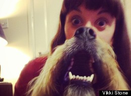 Dog Owners Fight The Cat Beard Trend