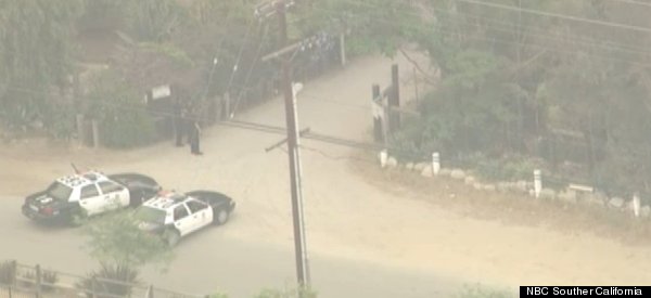 WATCH: Bear Rampages Through Town, Sparks Chase