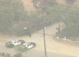 WATCH: Bear Rampages Through Town, Sparks Chase
