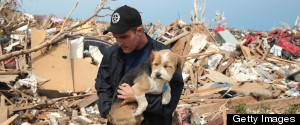 How To Help Animals Affected By The Oklahoma Tornado