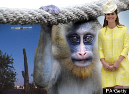 Pictures Of The Day: 23rd May 2013