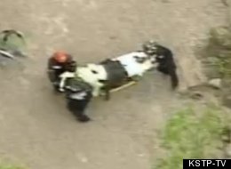 WATCH: Children Rescued After Being Buried In Landslide; Others Still Missing