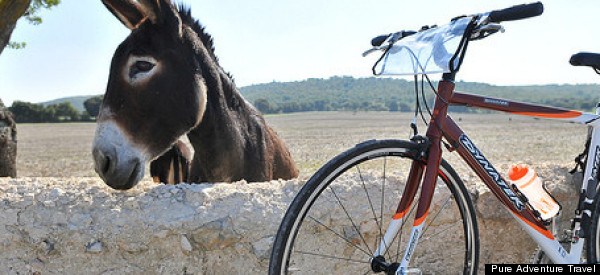 A Cyclist's Guide to Puglia