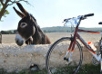 A Cyclist's Guide to Puglia