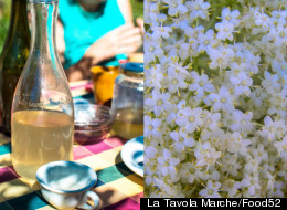 14 Floral Spring Cocktails To Sip In The Garden