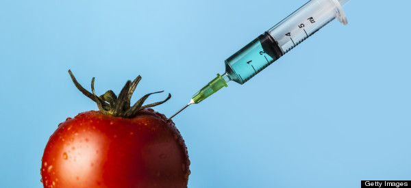 Genetically Modified Foods and the Limits of Trade Agreements