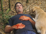 Lost Finale