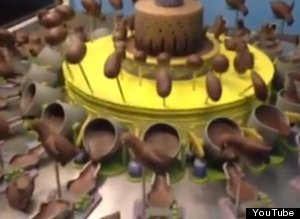 Phillip Island Chocolate Zoetrope