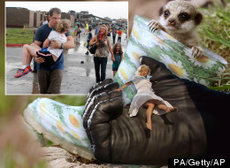 The Week In Photos - Vote On Your Favourite Pictures