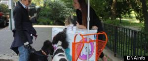 A Frozen Yogurt Cart For Dogs?!
