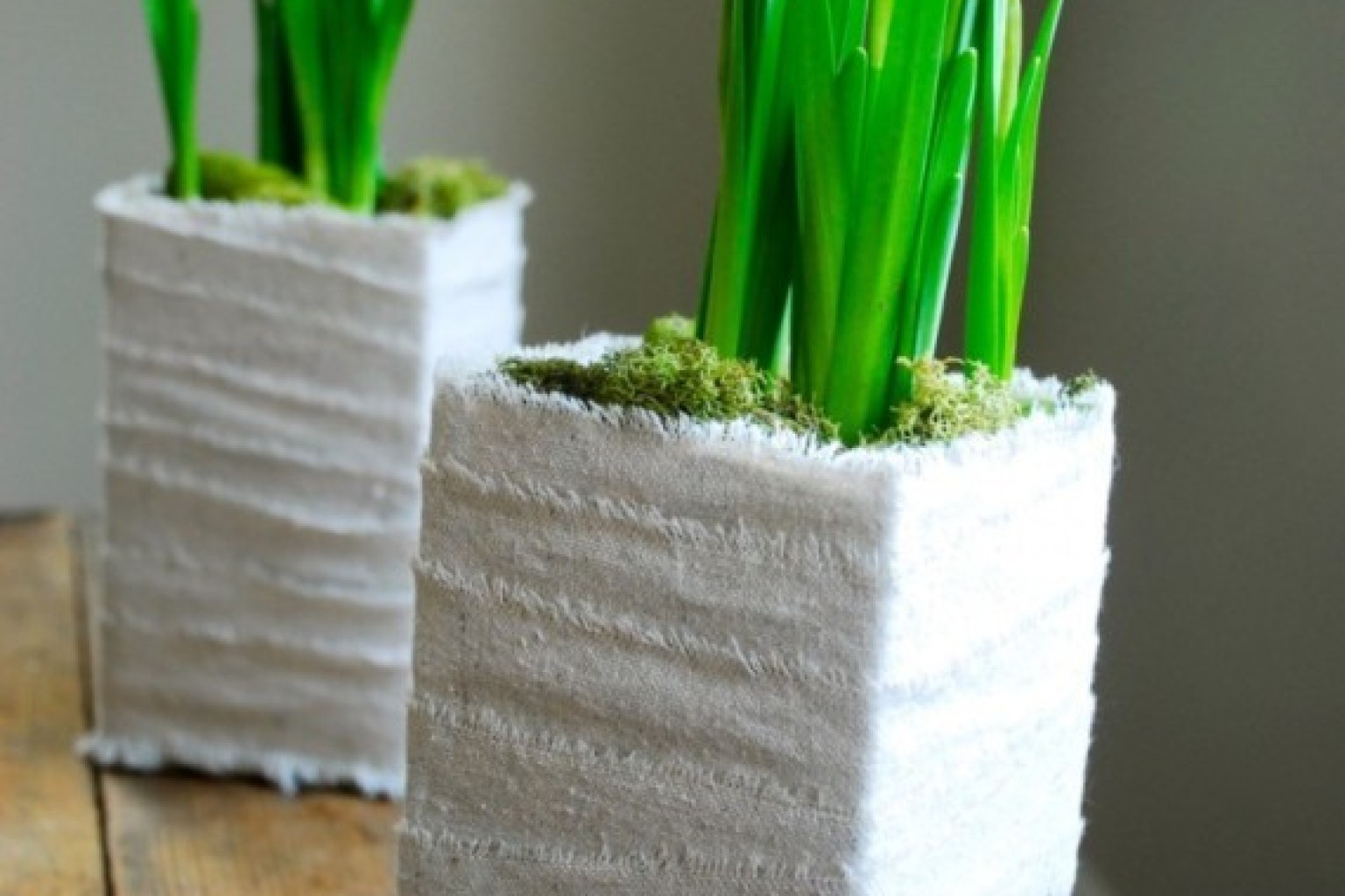 7 diy planter ideas you probably never thought of photos huffpost 7 diy planter ideas you probably never thought of photos huffpost