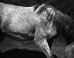 Whitney Hubbs: Whitney Hubbs on the ImageBlog