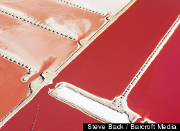 Pretty In Pink: The World's Biggest Algae Farm (PICTURES)