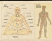 Smithsonian's Crowdfunding Experiment