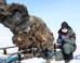 Bloody Discovery May Aid Efforts To Clone Prehistoric Mammal