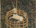 Search For The Unicorn