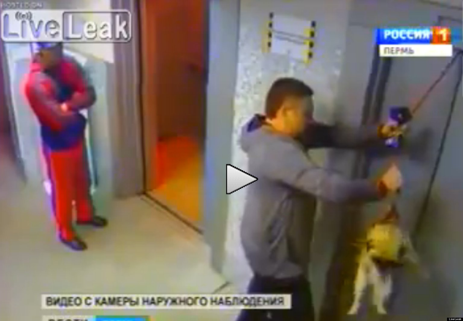 Man Saves Dog From Elevator Death In Heroic Rescue (VIDEO) HuffPost
