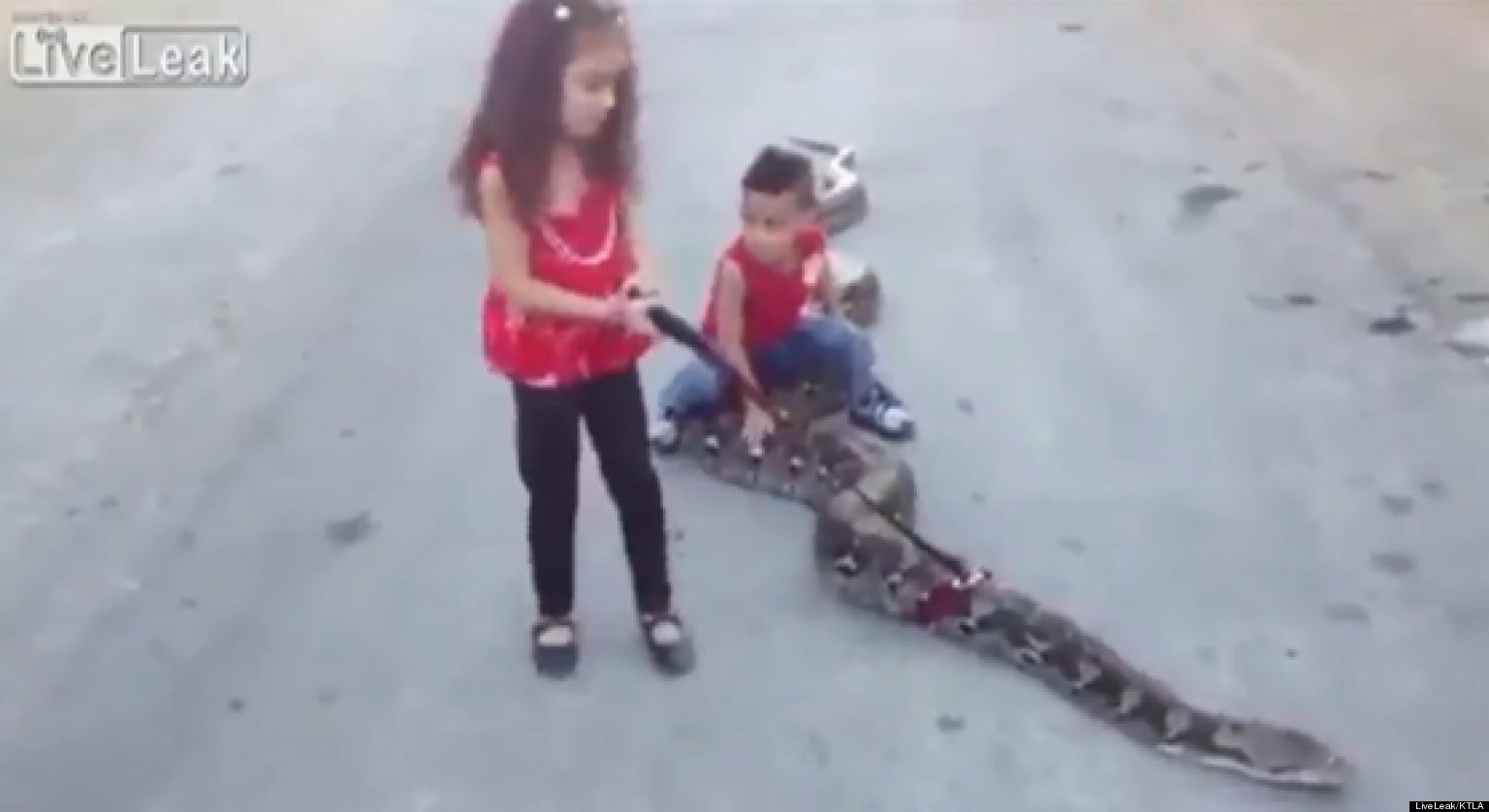 Palestinian Kids Ride Snake, Walk Serpent Pet On Leash (VIDEO) HuffPost