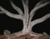 Ken Gonzales-Day: Ken Gonzales-Day on the imageBlog