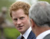 Homeless Man Pleads Guilty To Prince Harry Death Threat