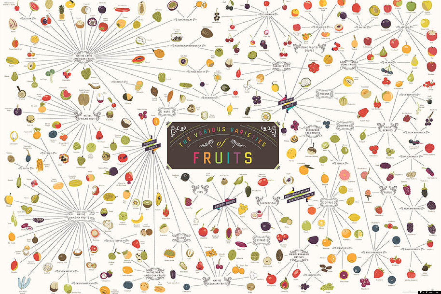 fruit-and-its-various-varieties-infographic