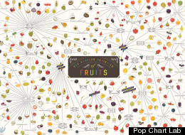 INFOGRAPHIC: Every Fruit You Ever Need To Know