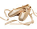 5 Ways Thinking Like a Ballerina Can Bring Balance to Your Life