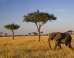 africa-travel