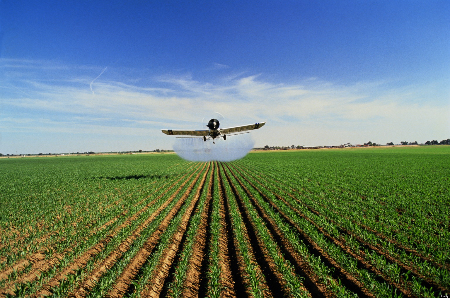 pesticide wikipedia