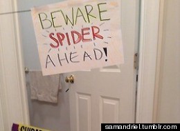 I Don't Know How Other People Handle Spiders But..