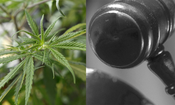 Medical Marijuana