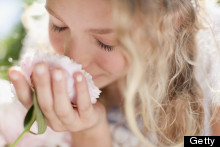 Beauty And The Bride: Finding A Fragrance