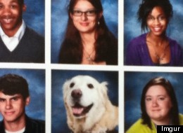 LOOK: Why This Dog Got A Special Place In The Yearbook