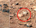 curiosity-rover