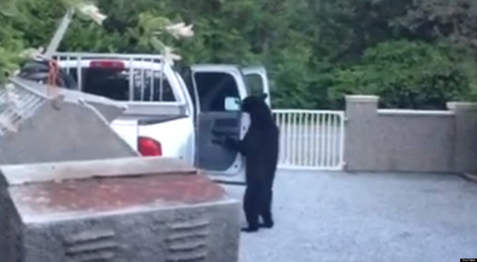 Maple Hill Auto >> Bear Breaking Into Truck Is The Funniest Criminal Ever (VIDEO) | HuffPost Maple Hill Auto >> Bear Breaking Into Truck Is The Funniest Criminal Ever (VIDEO) | HuffPost