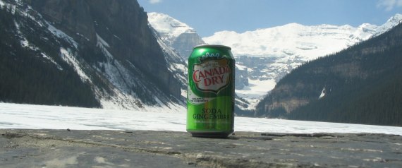 canada dry