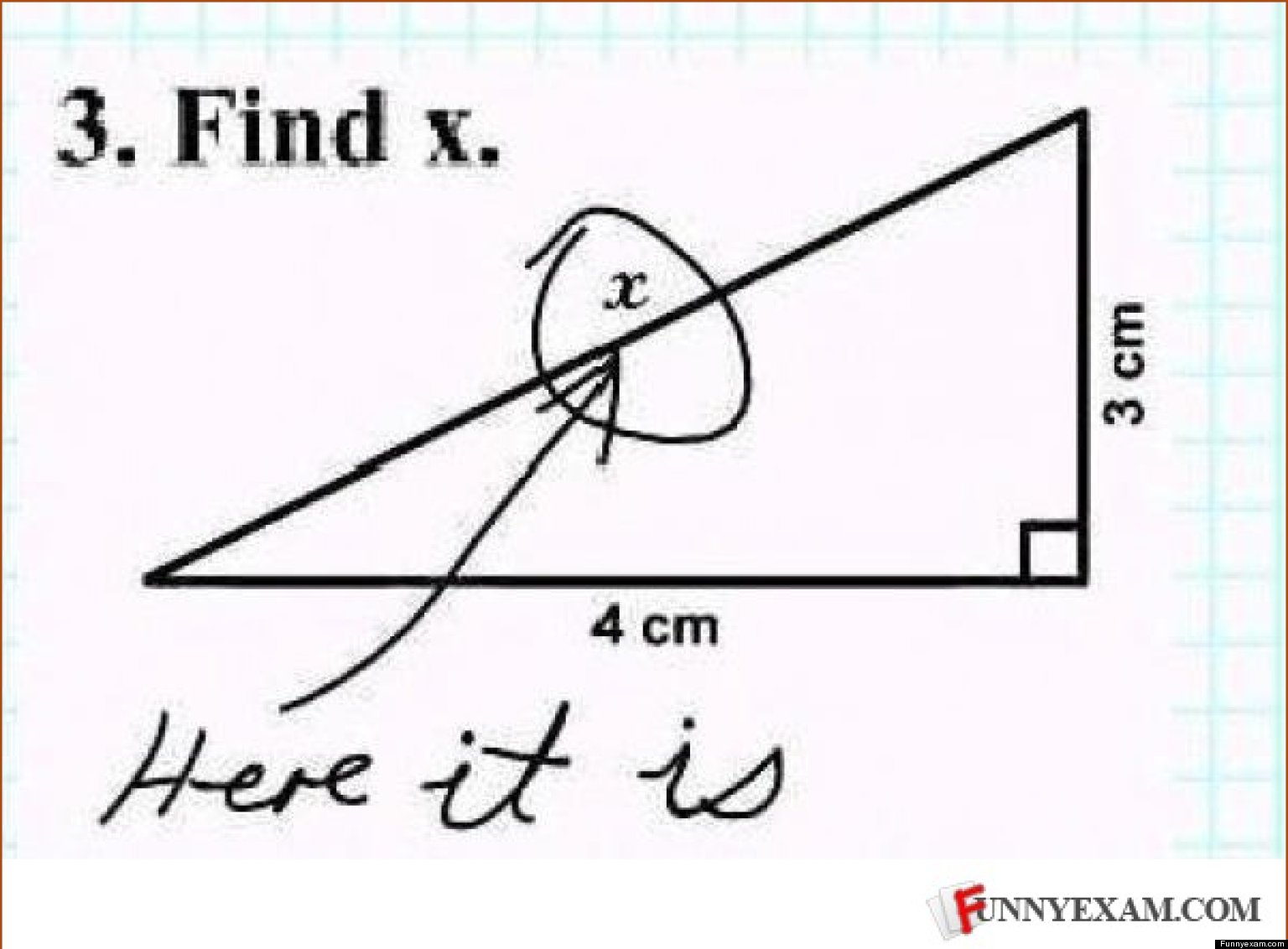 gcse-results-day-take-comfort-in-these-funny-exam-answer-fails