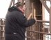 WATCH: Composer Plays Eiffel Tower As Musical Instrument