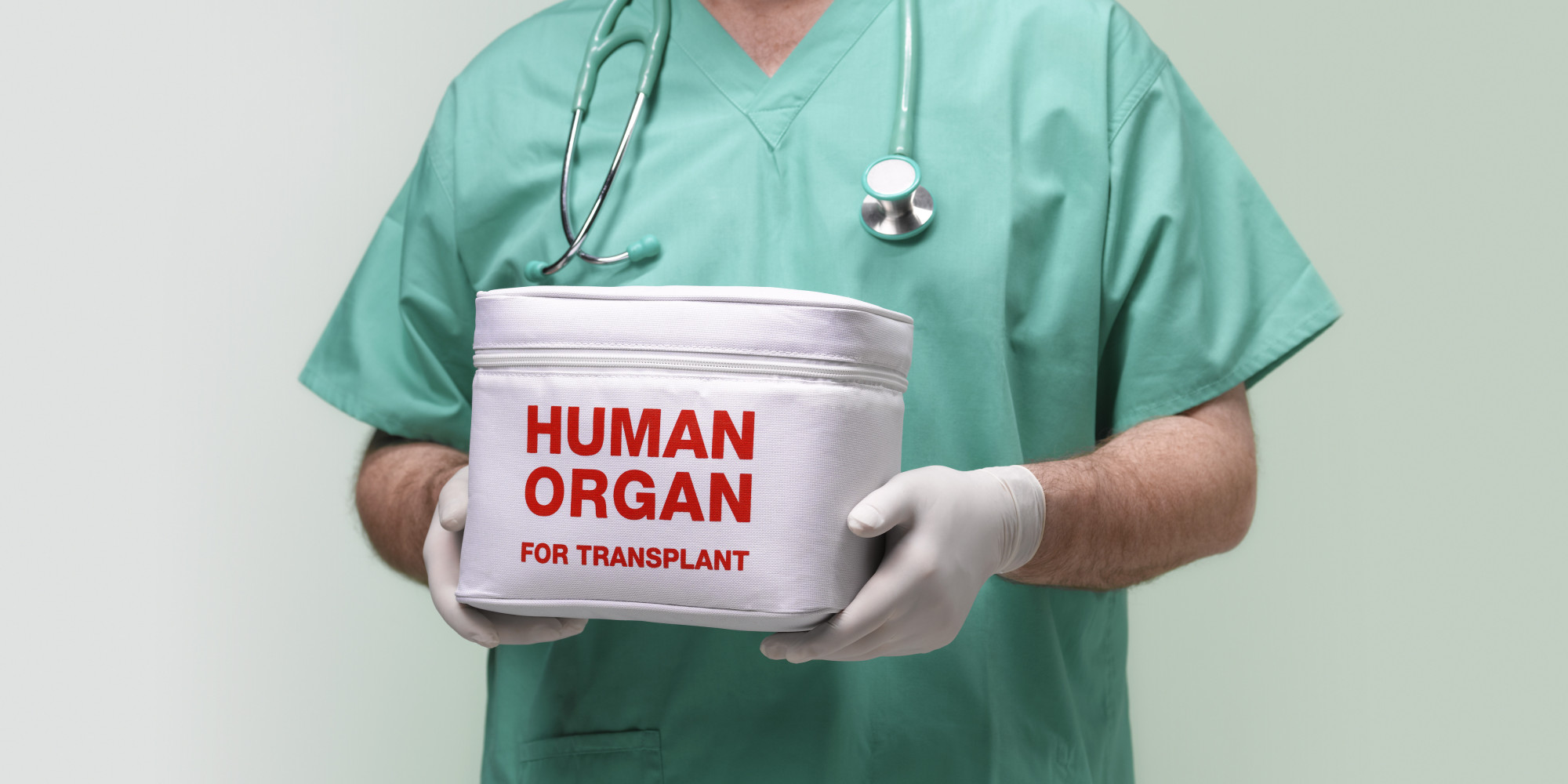 what-organs-can-you-donate-with-aids