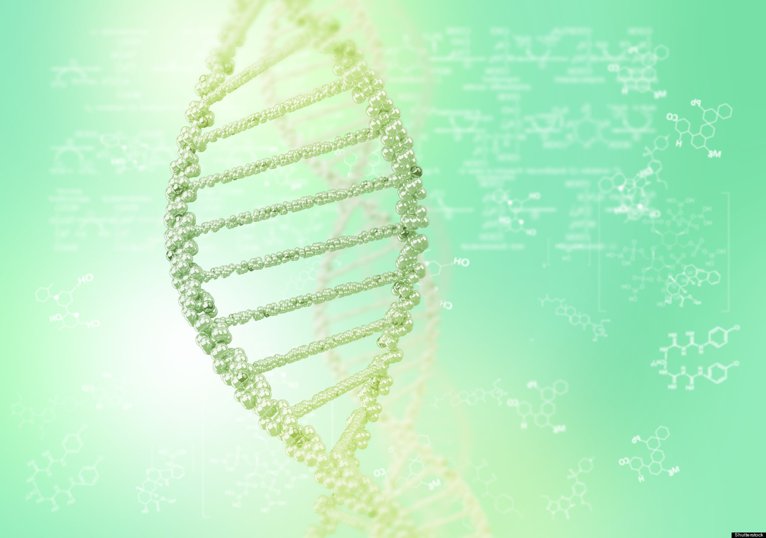 2019 year - BRCA Testing Vastly Underused, Researchers Say 2019 year