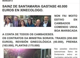 Un concejal del BNG llama "chochito de oro" a Soraya Sáenz de Santamaría S-BLOG-CAMBADOS-large