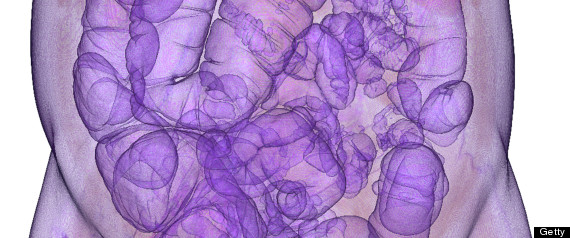 dirurl - Free Backlink Builder