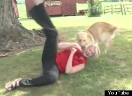 Animales que odian a los reporteros (VIDEO)