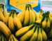 HUGE Stash Of Cocaine Found In Banana Boxes