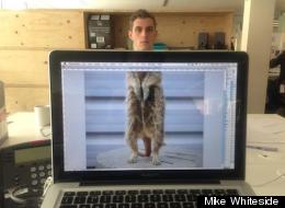 PICS: Office Workers Put Colleagues' Heads On Animals' Bodies