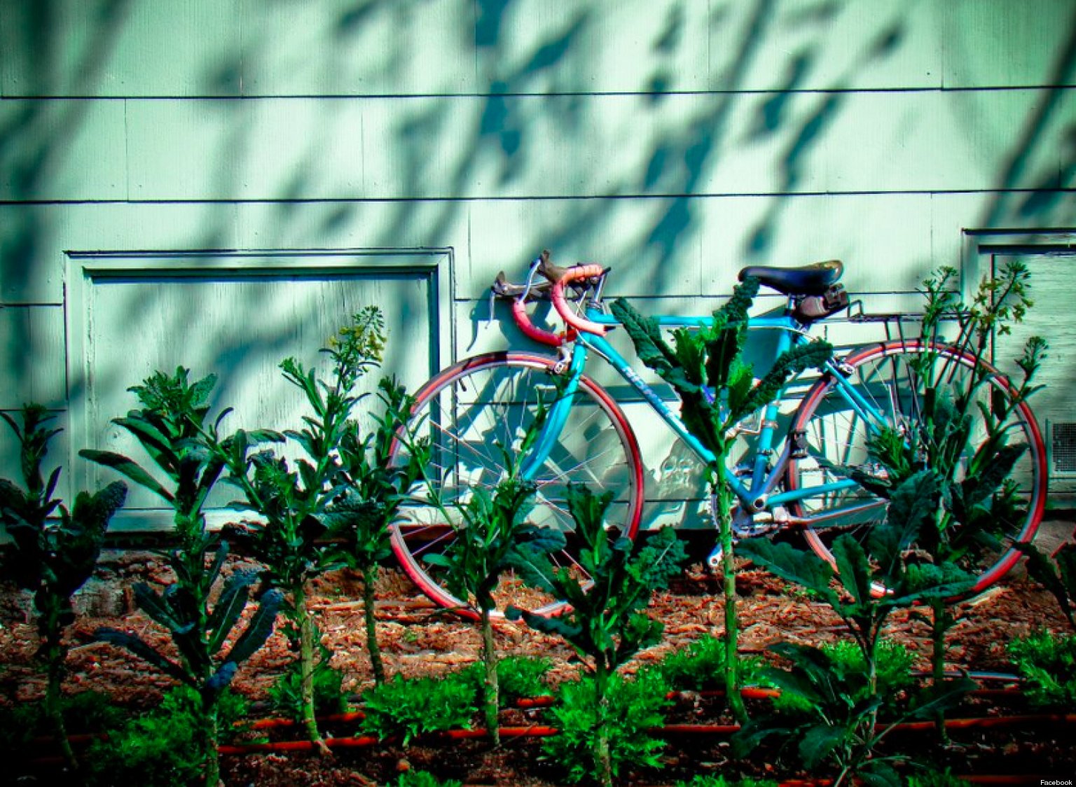 Hayes Valley May Have Been Raided, But Here Are Five Other Awesome Urban Farms (PHOTOS) HuffPost