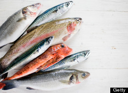 There Are Plenty of Other Fish in the Sea (Why Aren't You Eating Them?)