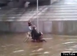 WATCH: Dog Pushes Man In Wheelchair Through Flooded Street