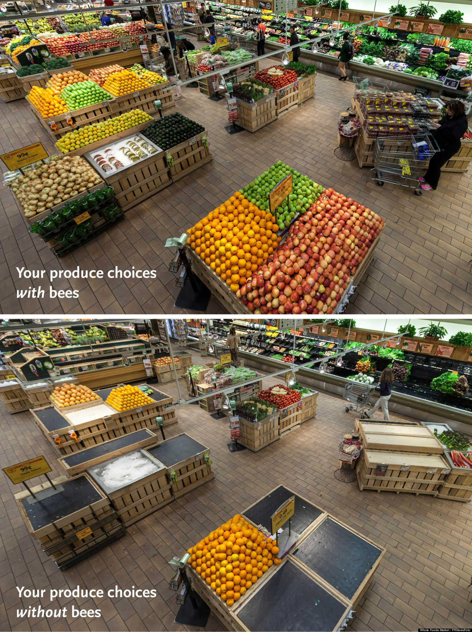 o-SUPERMARKET-WITHOUT-BEES-facebook.jpg