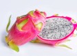 Healthy Snacks: 10 Weird And Wonderful Superfoods You Should Try (PICTURES)